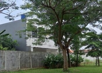 Foto: Dokumentasi Damai Putra Group