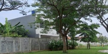 Foto: Dokumentasi Damai Putra Group