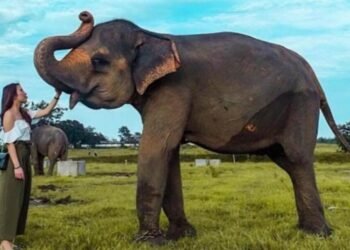 Ilustrasi Foto. [Foto: istimewa]