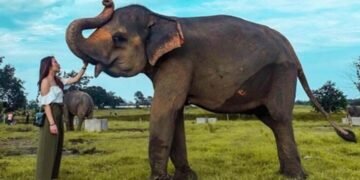 Ilustrasi Foto. [Foto: istimewa]